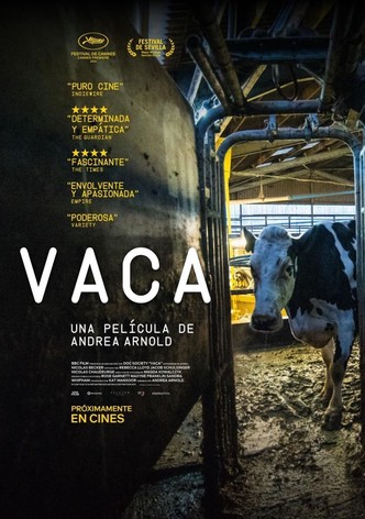 Vaca