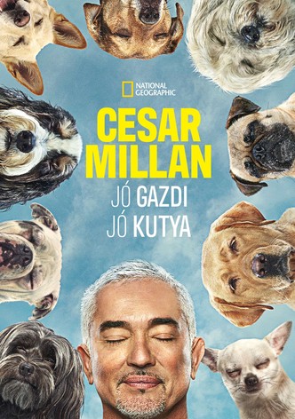 Cesar Millan: Jó gazdi, jó kutya