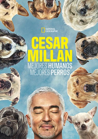 Cesar Millan: Mejores Humanos, Mejores Perros
