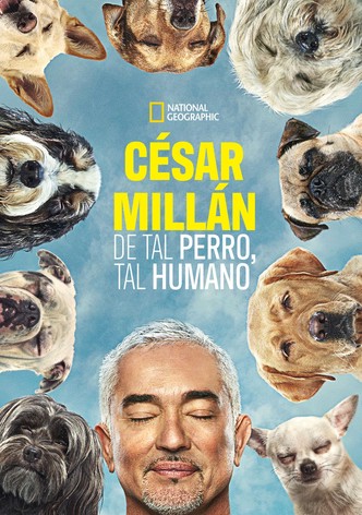 Cesar Millan: Mejores Humanos, Mejores Perros