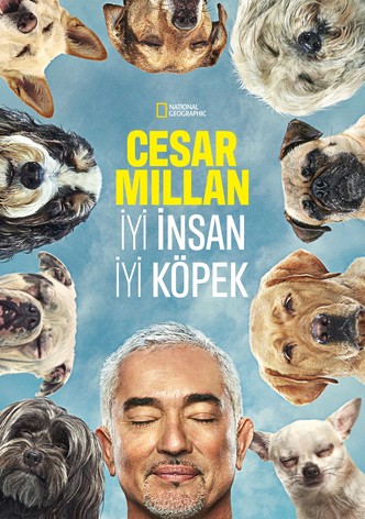 Cesar Millan: Better Human, Better Dog