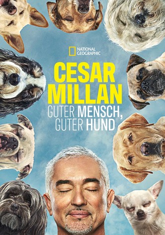 Cesar Millan: Guter Mensch guter Hund