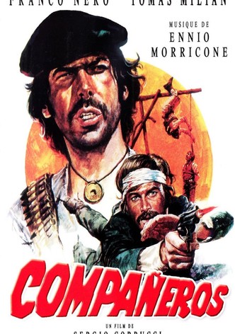 Compañeros
