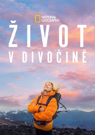 Život v divočině