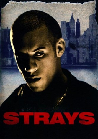 Strays
