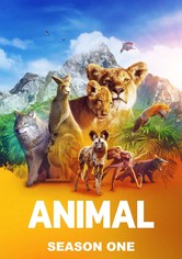 Animal - Season 1