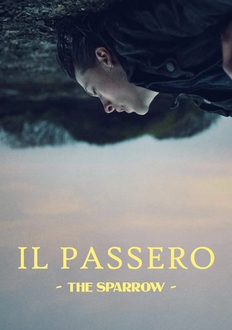 Il passero - The Sparrow