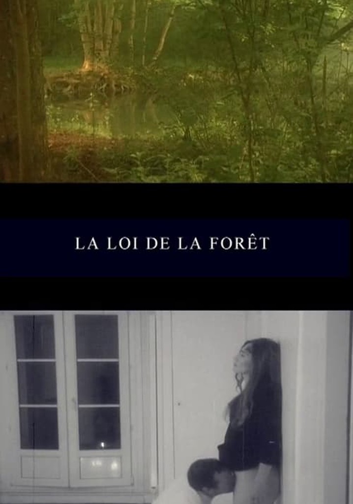 La loi de la forêt