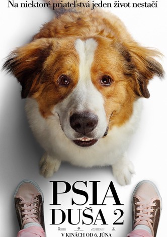 Psia duša 2