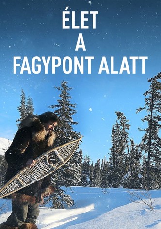Élet a fagypont alatt
