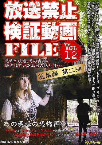 Banned Video File Vol. 2: Who's in the Picture Next to You?