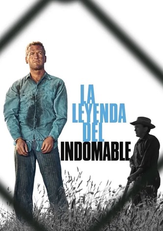 La leyenda del indomable