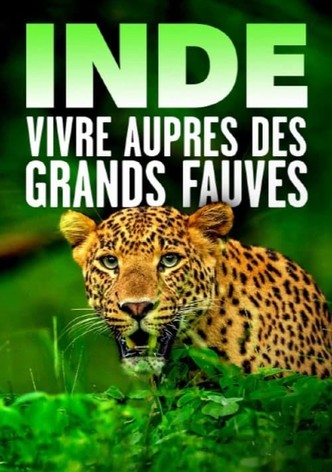 Inde - Vivre auprès des grands fauves