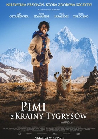 Pimi z Krainy Tygrysów