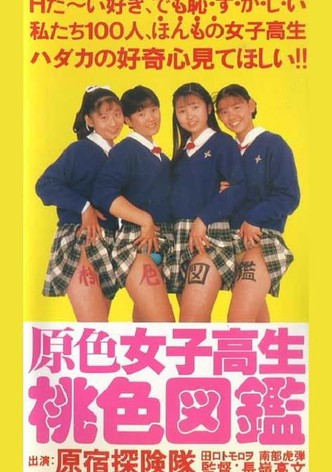 Primary Colour High School Girl Pink Picture Book
