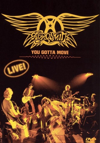 Aerosmith - You Gotta Move