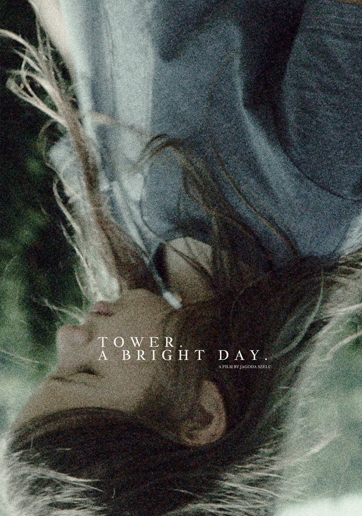 Tower. A Bright Day.