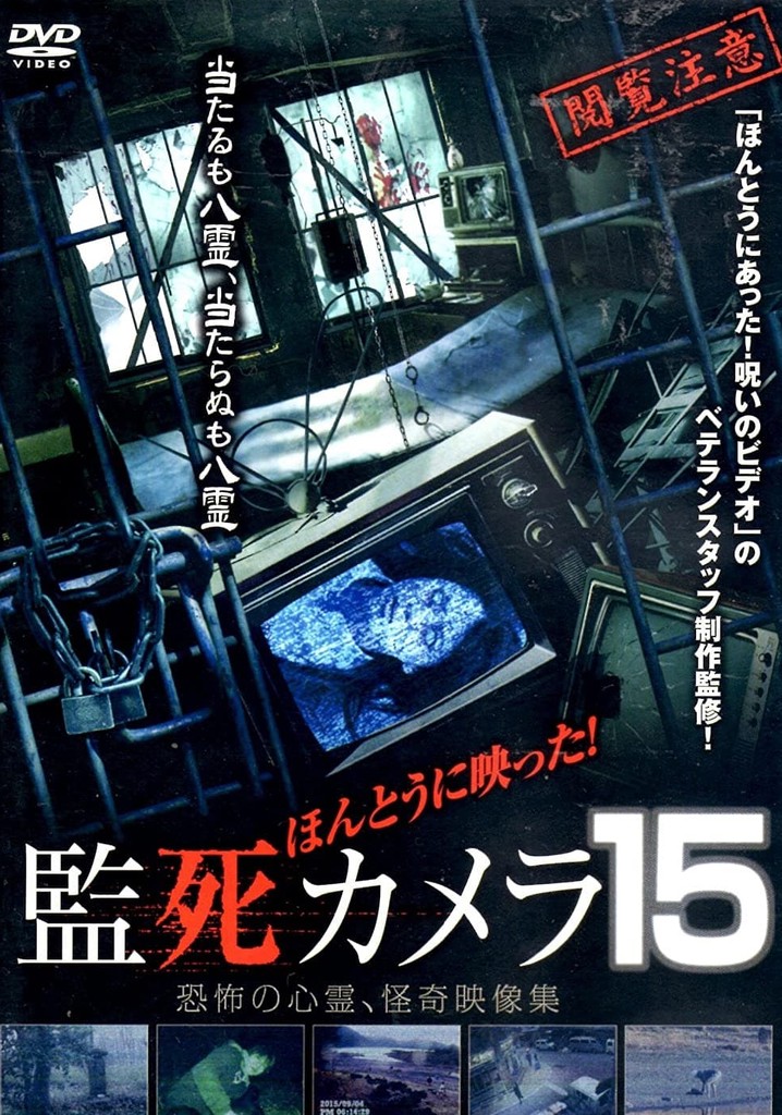 Paranormal Surveillance Camera 15