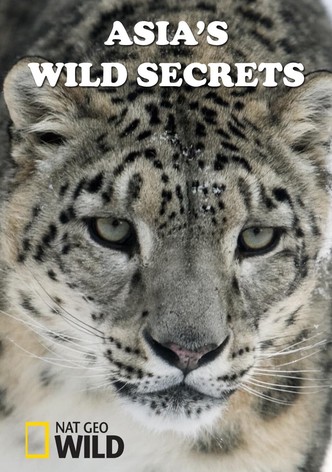 Asia's Wild Secrets