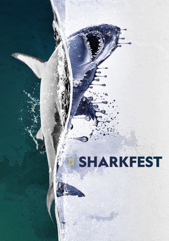 Sharkfest