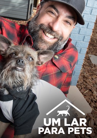 Um Lar Para Pets