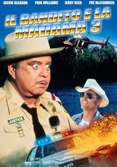 Il bandito e la madama 3