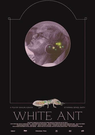 White Ant