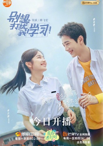 Don't Disturb My Study