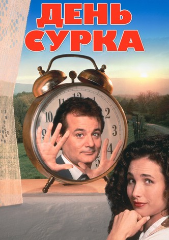 День сурка
