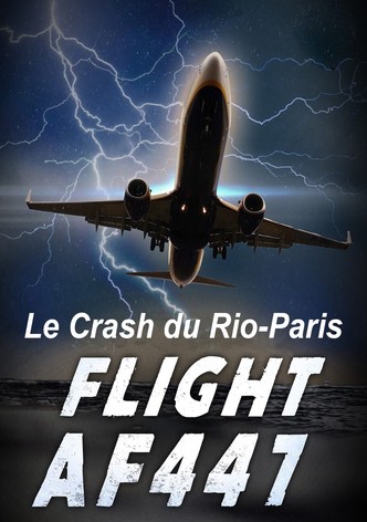 Vol AF 447, Le crash du Rio-Paris