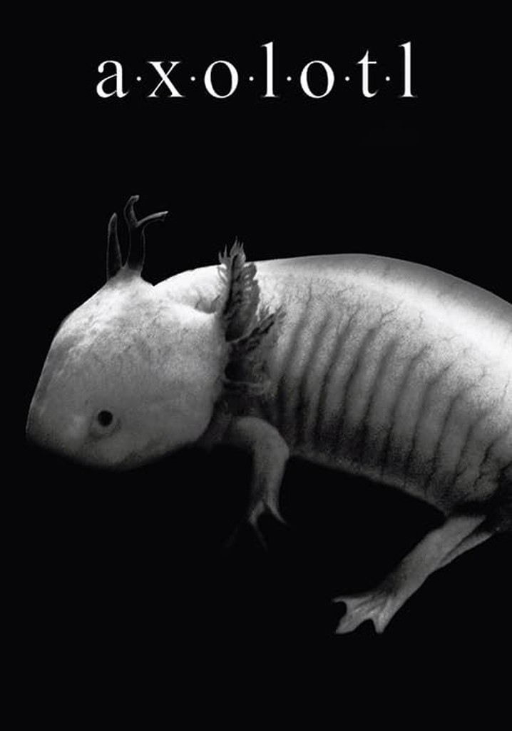 Axolotl