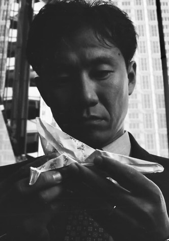 Mr Ikegami's Flight