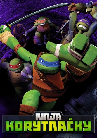 Ninja Korytnačky