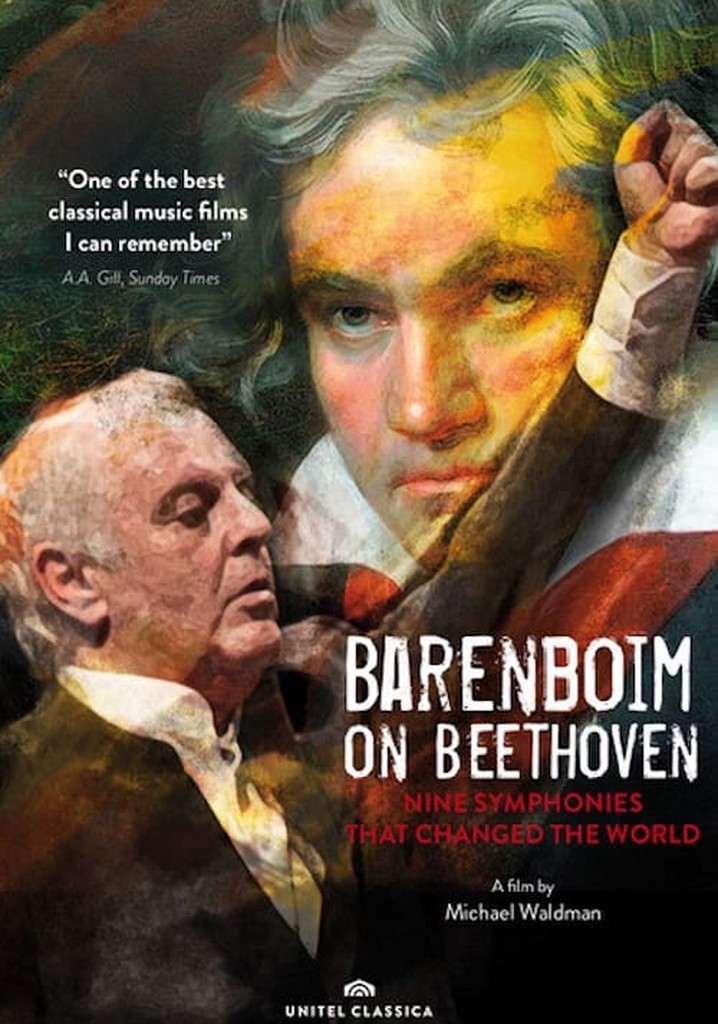 Barenboim On Beethoven: Nine Symphonies That Changed The World