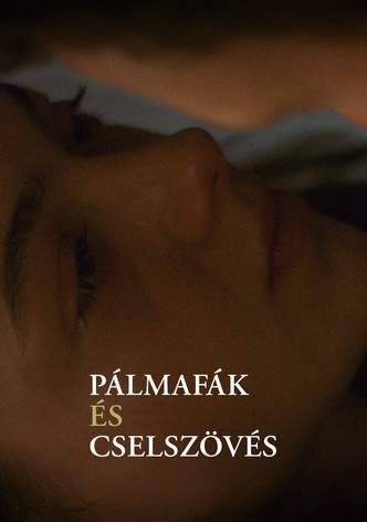 Pálmafák és cselszövés