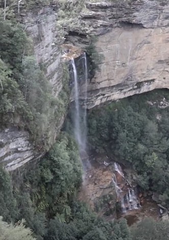 Repercussions of Nurture