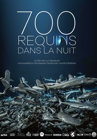 700 requins dans la nuit