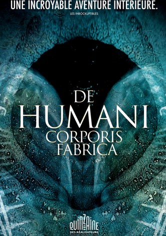 De humani corporis fabrica