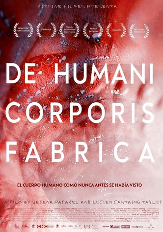 De Humani Corporis Fabrica