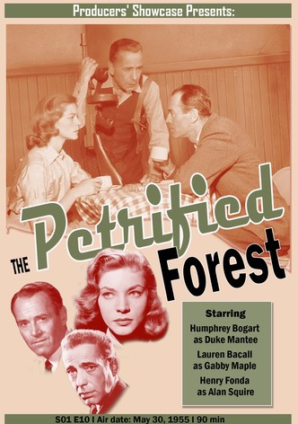 The Petrified Forest