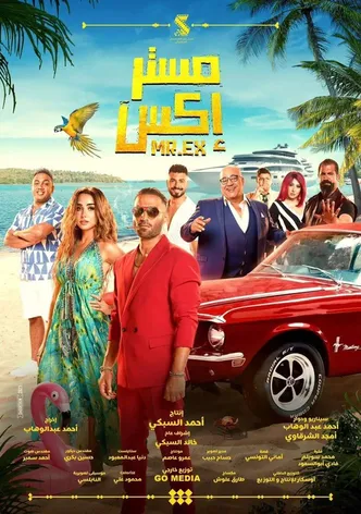 Mr. Ex poster