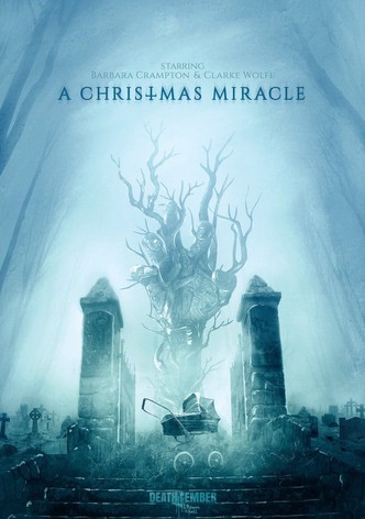 A Christmas Miracle