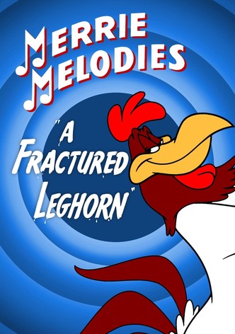 A Fractured Leghorn