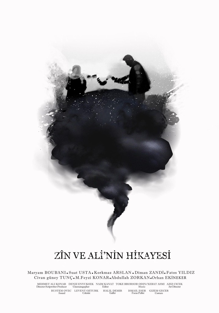 Zîn ve Ali'nin Hikâyesi