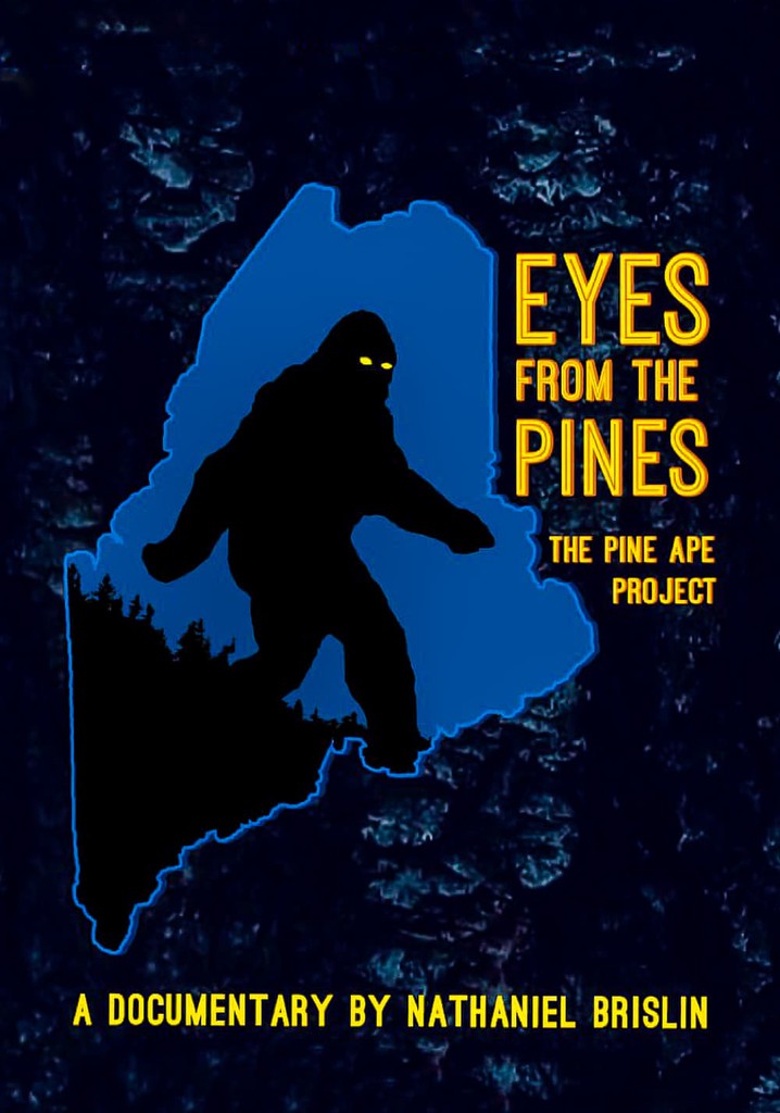 Eyes from the Pines