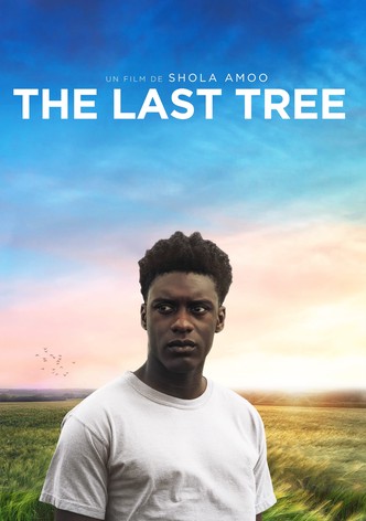 The Last Tree