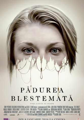 Pădurea blestemată