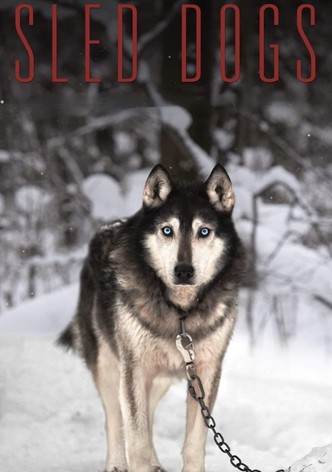 Sled Dogs