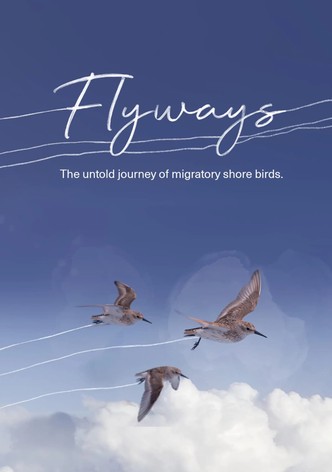 Flyways