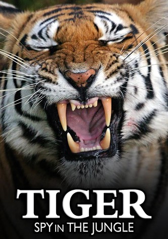 Tiger: Spy In The Jungle